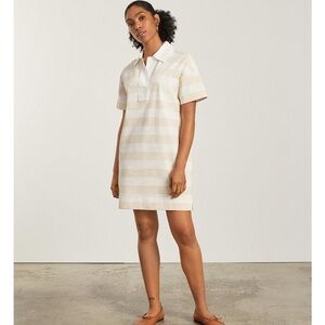 Everlane The Organic Polo Dress- Women's Beige/Bone Striped Lightweight Dress